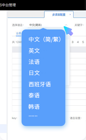 w66集团BOS，ERP，进销存，分销系统，多说话